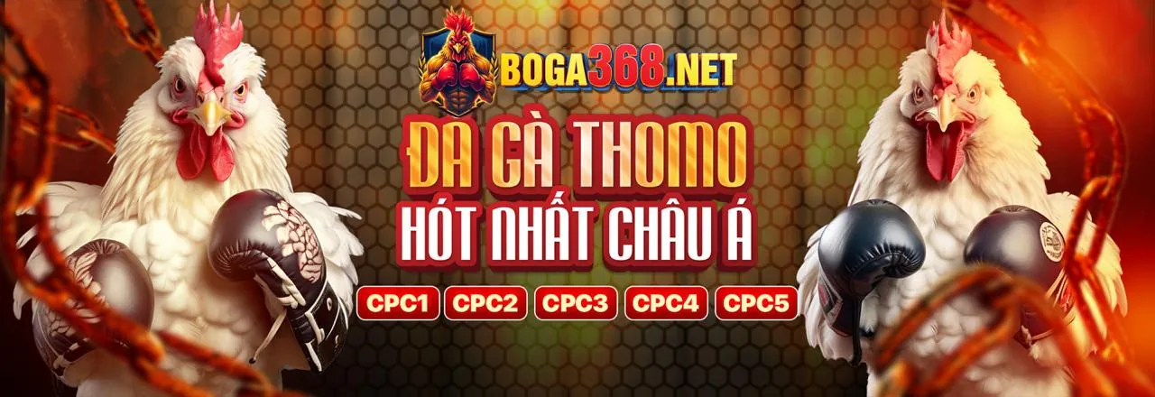 Sân đấu đá gà trực tuyến sôi động tại nhà cái uy tín hàng đầu
